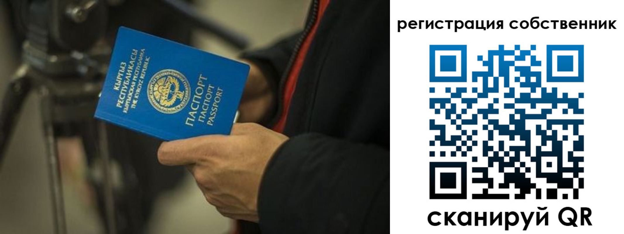 временная регистрация поиск в Касли